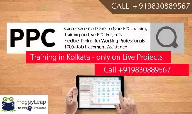 Advanced PPC Training Institute Kolkata - FroggyLeap